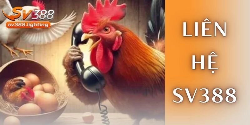 Các câu hỏi thường gặp khi người chơi liên hệ