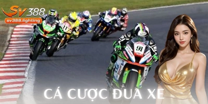 Các hình thức cá cược đua xe phổ biến