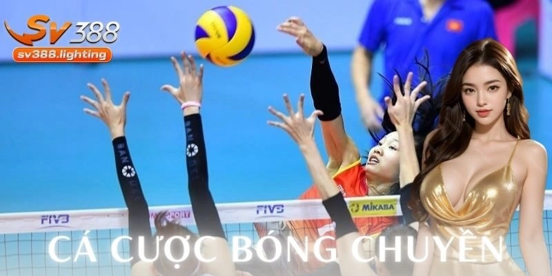 Cách chơi cá cược bóng chuyền chi tiết trên nền tảng