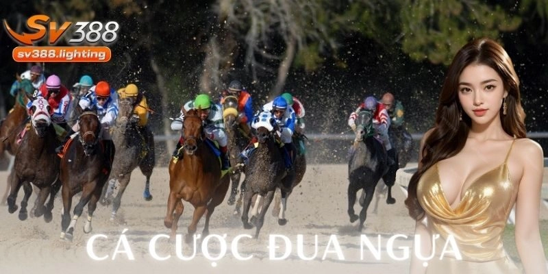 Chiến thuật hiệu quả cho cược thủ