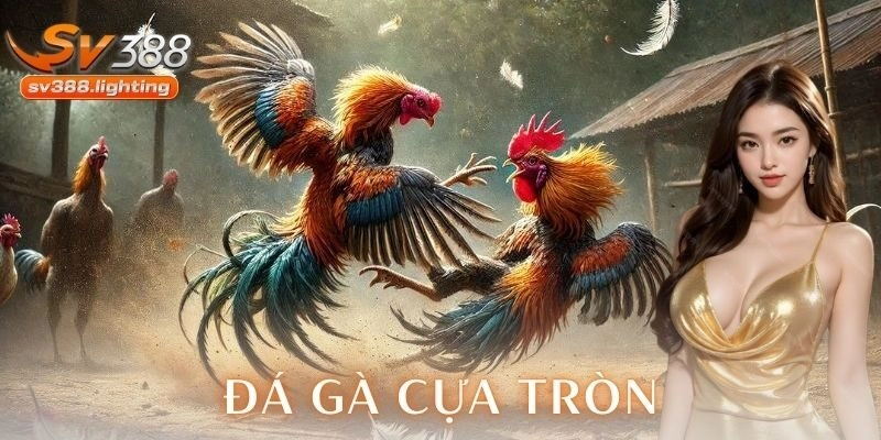 Hình thức truyền thống pha trộn tính chiến thuật