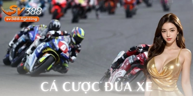 Kinh nghiệm dành cho cược thủ mới