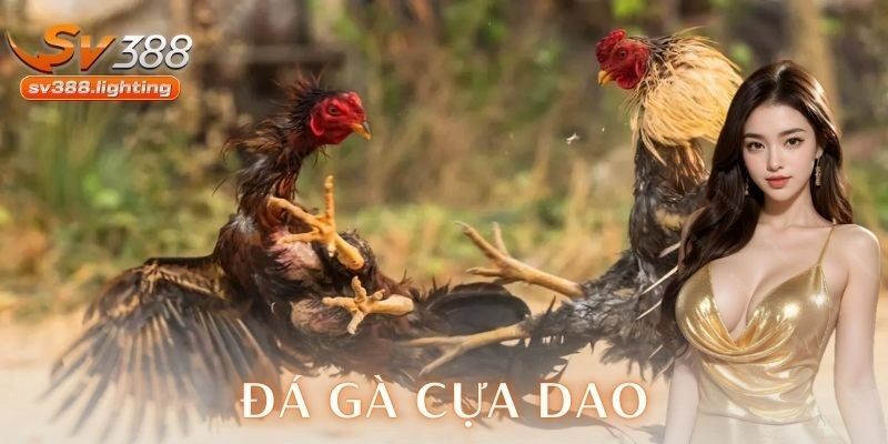 Nguồn gốc và sự phát triển của đá gà cựa dao