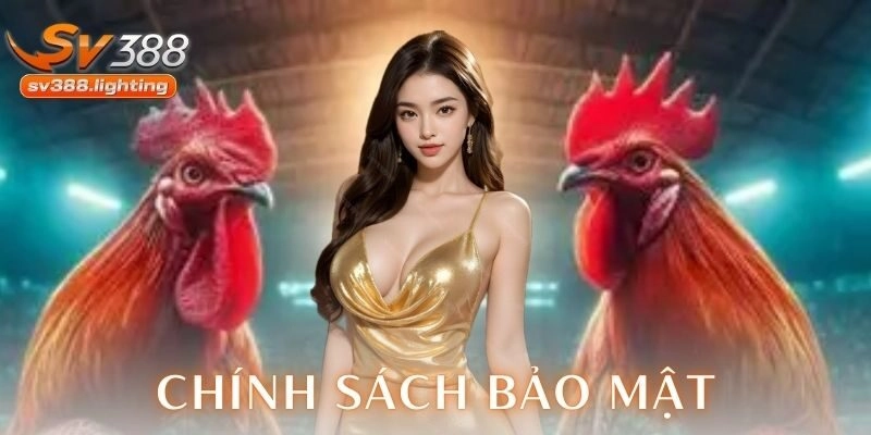 Phạm vi áp dụng và nội dung chính sách