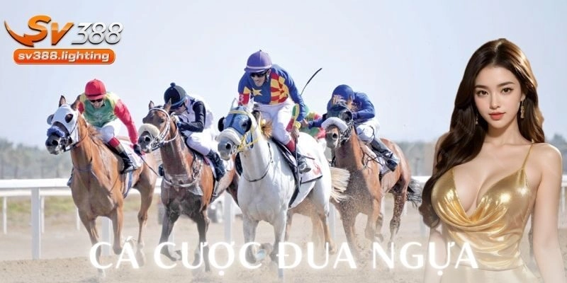 Thực tế pháp lý và bức tranh Việt Nam