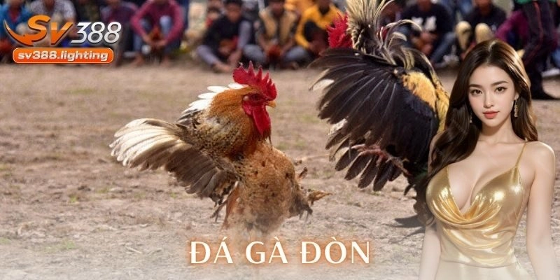 Tính giải trí và sự kịch tính của đá gà đòn