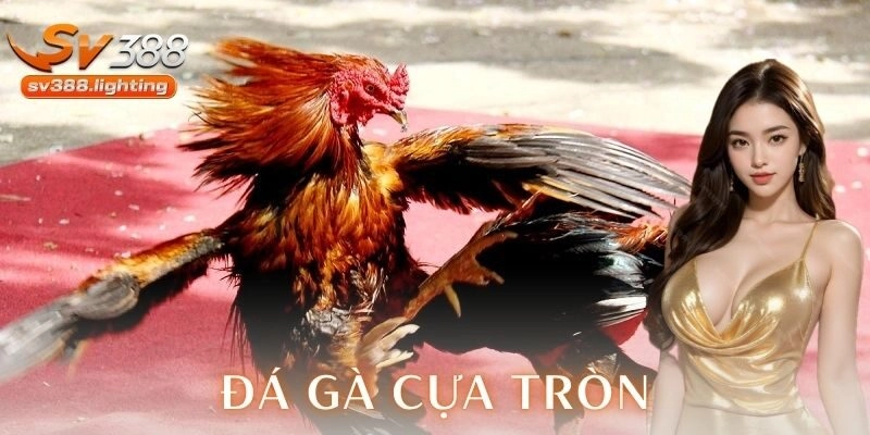 Tính minh bạch và độ uy tín trong mỗi trận đấu