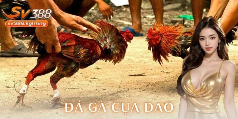 Trải nghiệm người dùng và sự linh hoạt của hệ thống