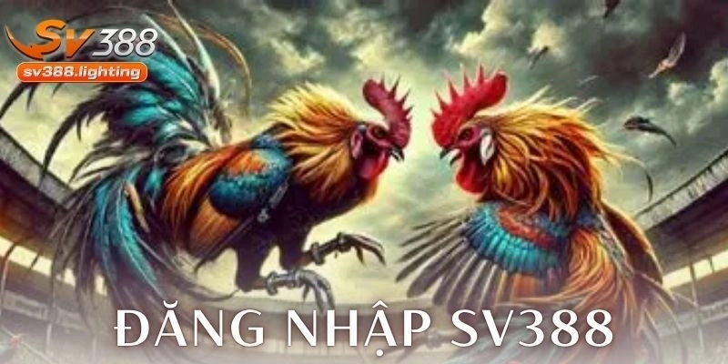 Ưu điểm nổi bật khi sử dụng tài khoản